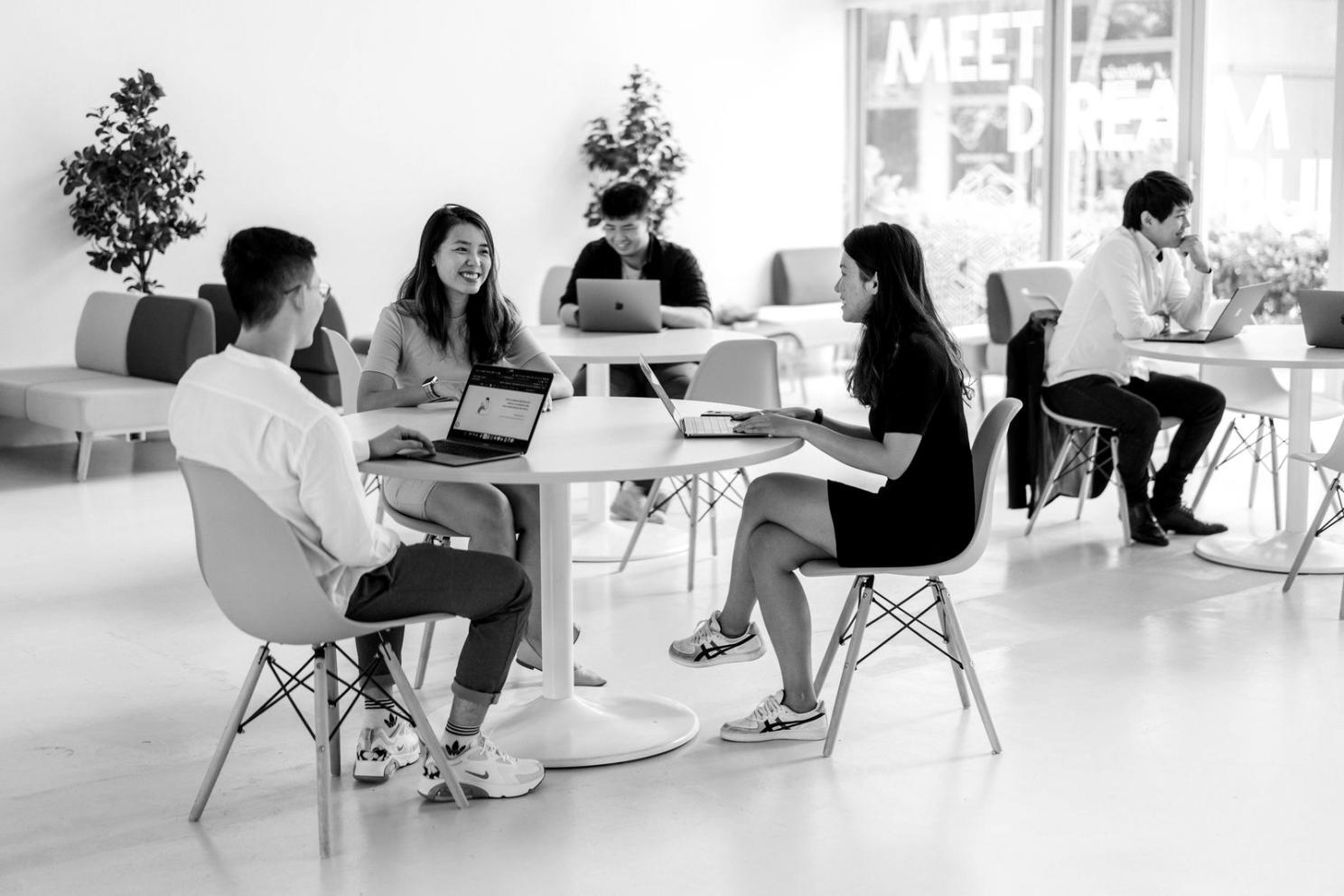 SEO-Analytik Workshop Umgebung